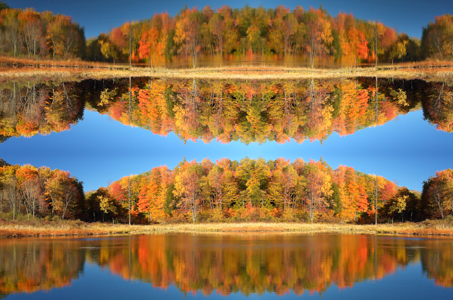 Through A Glass, Darkly