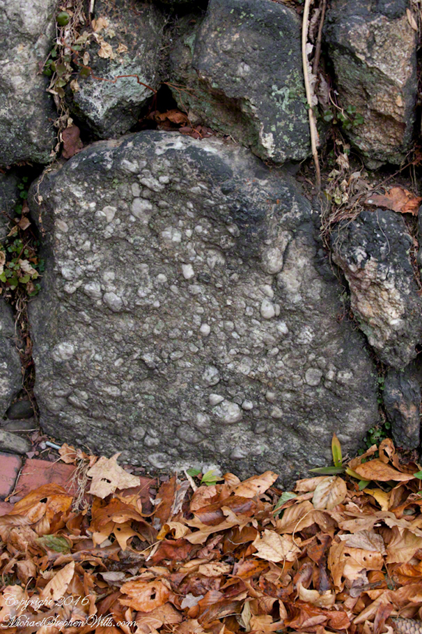 blackfridayjimthorpe-9609