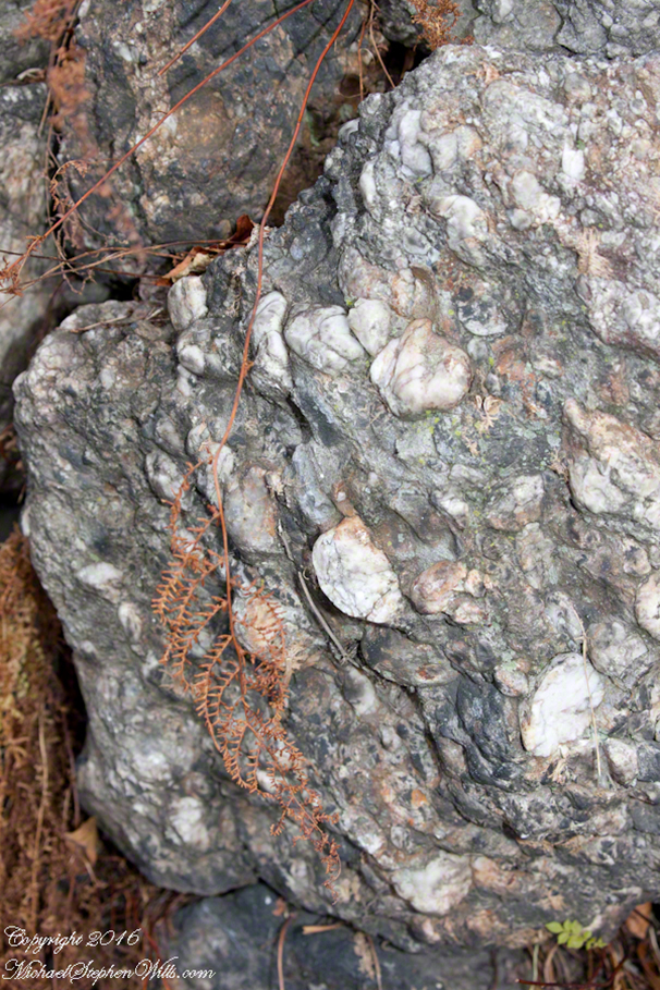 blackfridayjimthorpe-9622