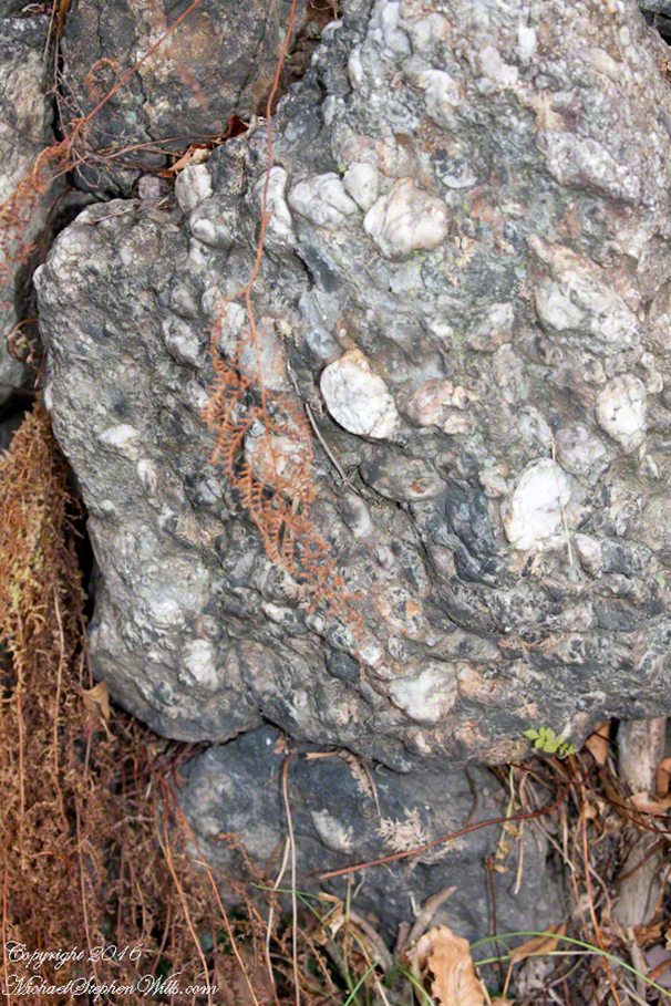 blackfridayjimthorpe-9623