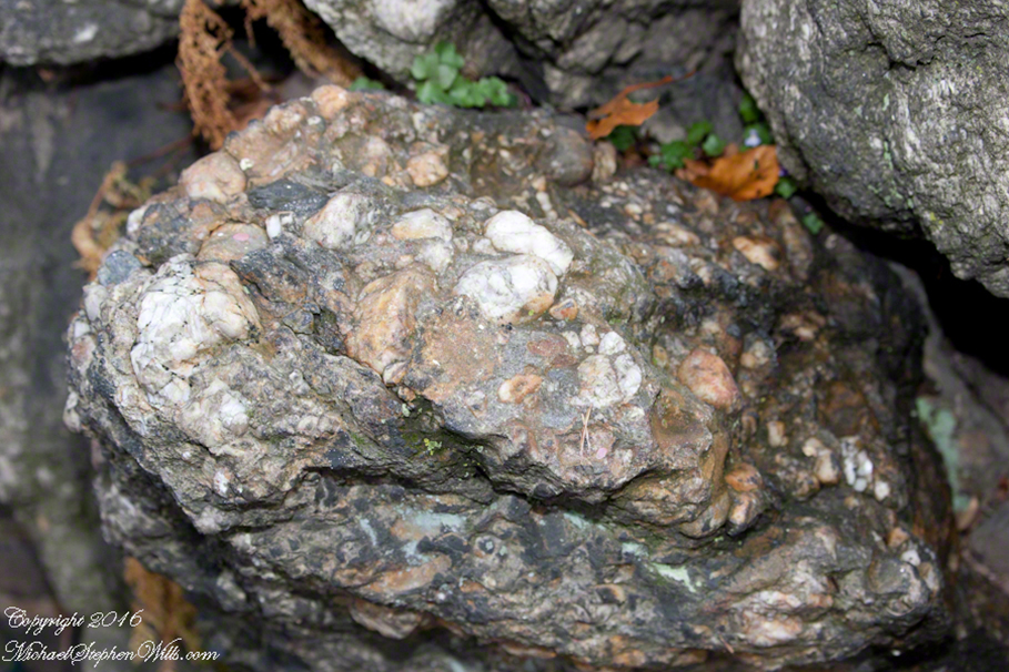 blackfridayjimthorpe-9624