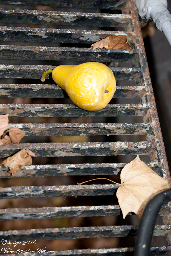 blackfridayjimthorpe-9636