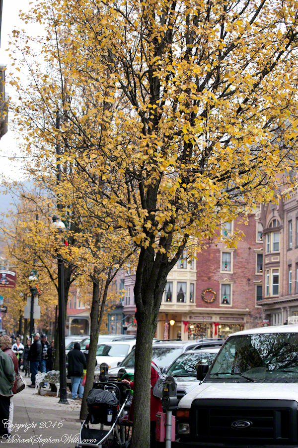 blackfridayjimthorpe-9644