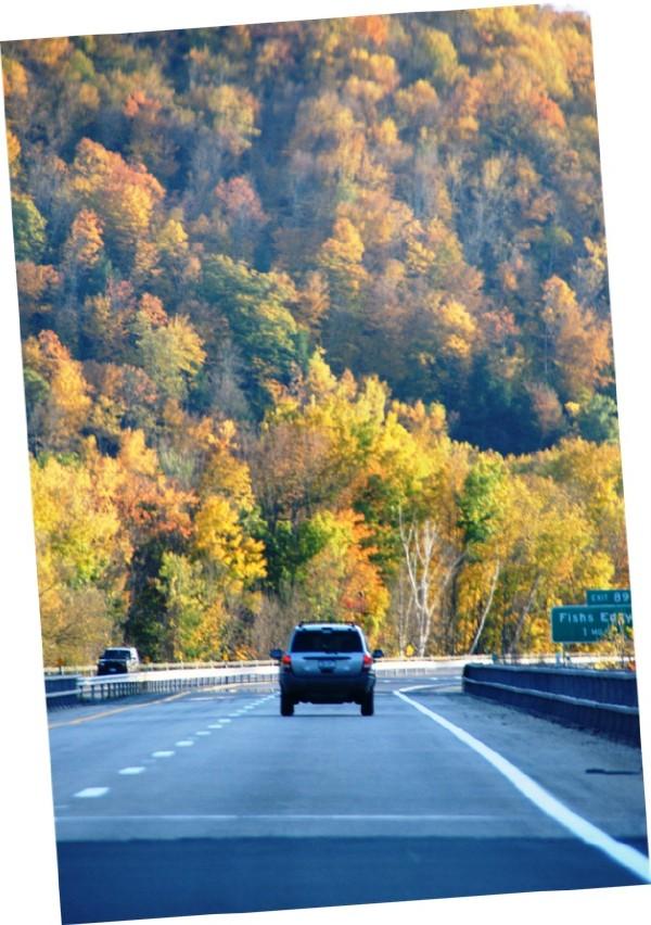 Route 17_FishsEddy_throughTheWindshield– CLICK ME!!!!