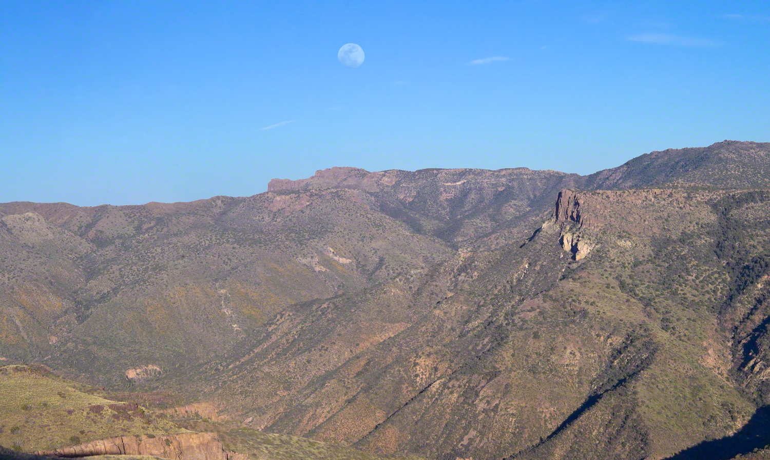Evening from Lime Mountain to East with Risen Moon