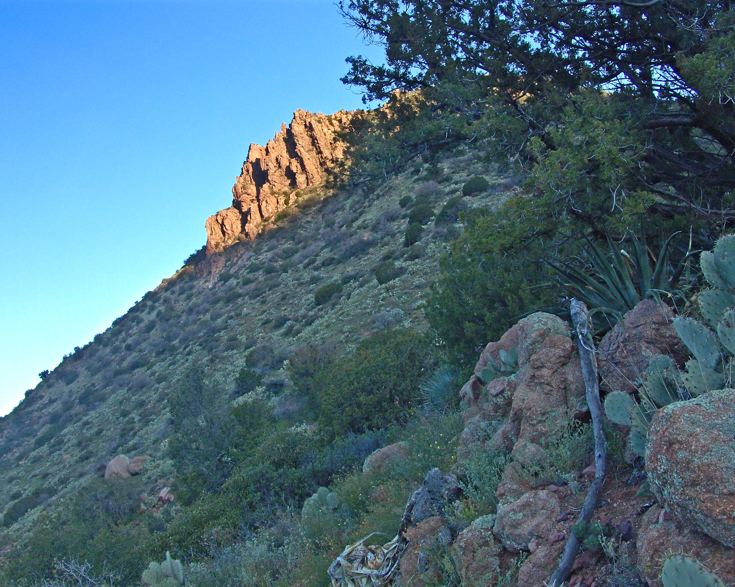 ontheslopesoftwobarmountaincopyrightmichaelstephenwills08