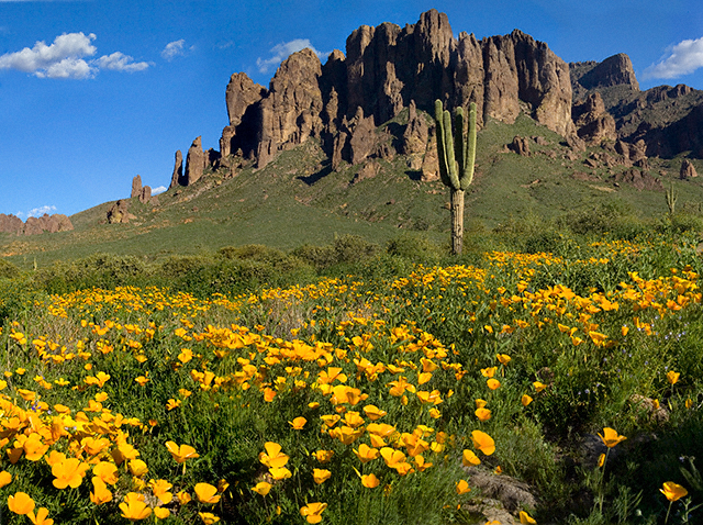 superstitionspring_copyright_640