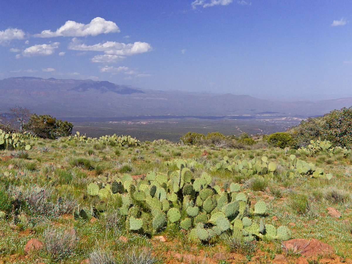 viewtoeasttrail122copyright