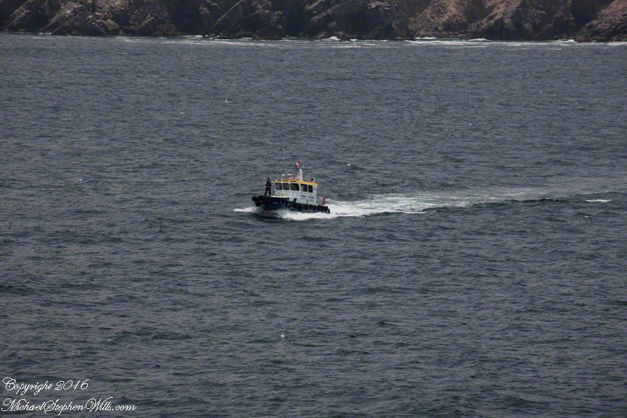 Don Roberto Approaches the Regatta