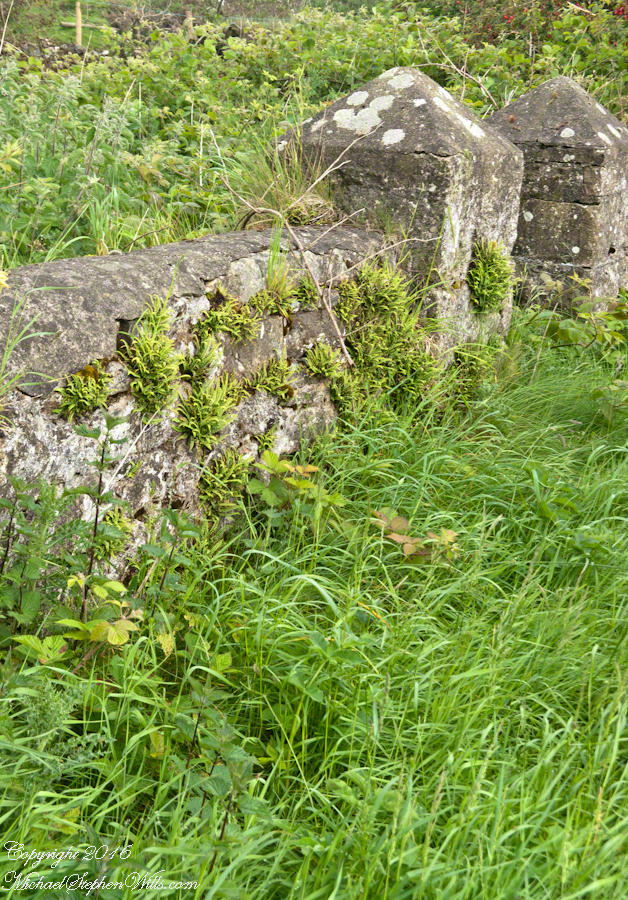 Schoolhouse Ruin stone fence– CLICK ME!!!!