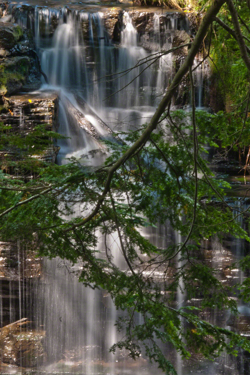 Spillway Falls and Hemlock Branch -- CLICK ME!!!!