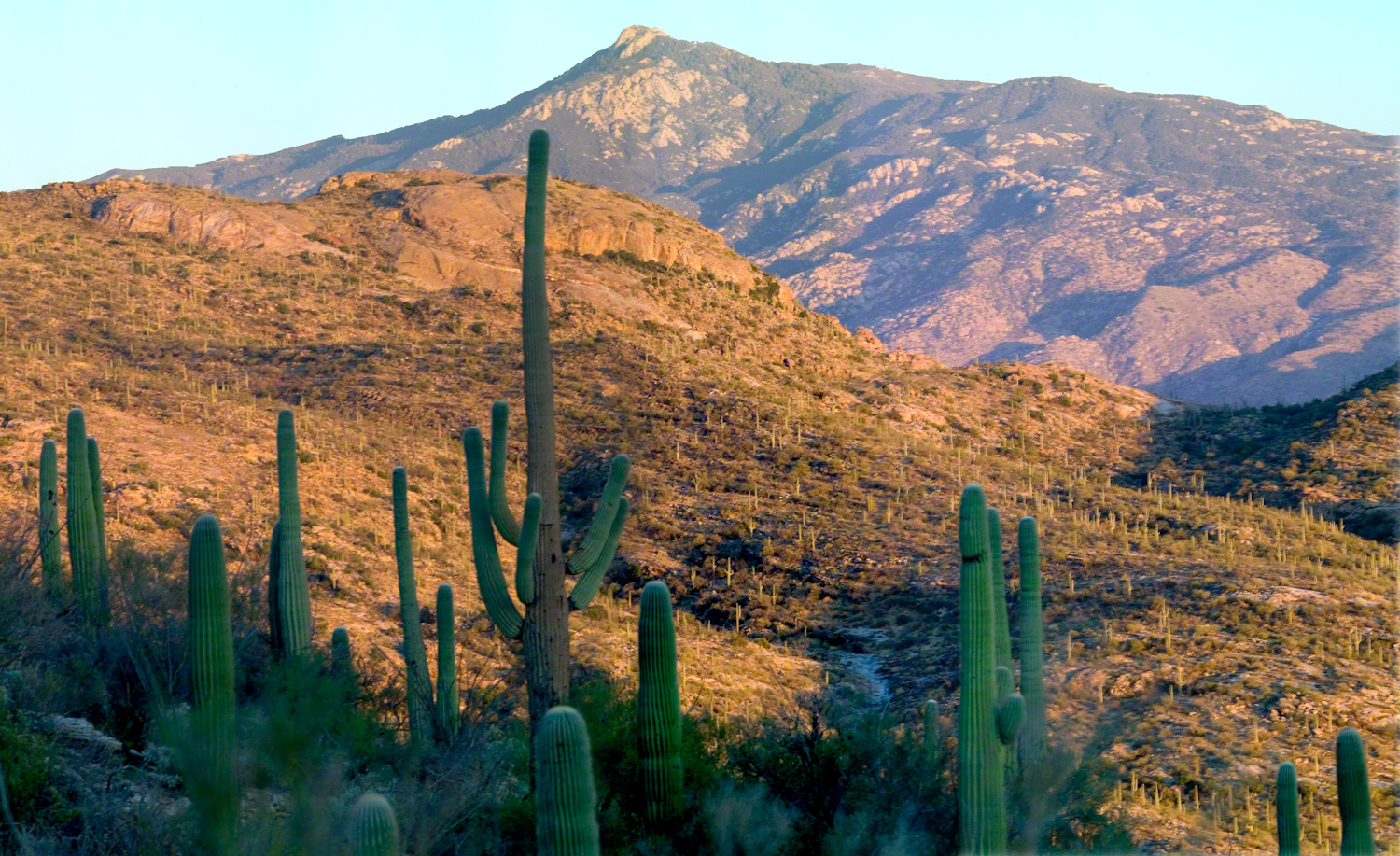 Rincon Peak from the X9 Ranch-- CLICK ME!!!!