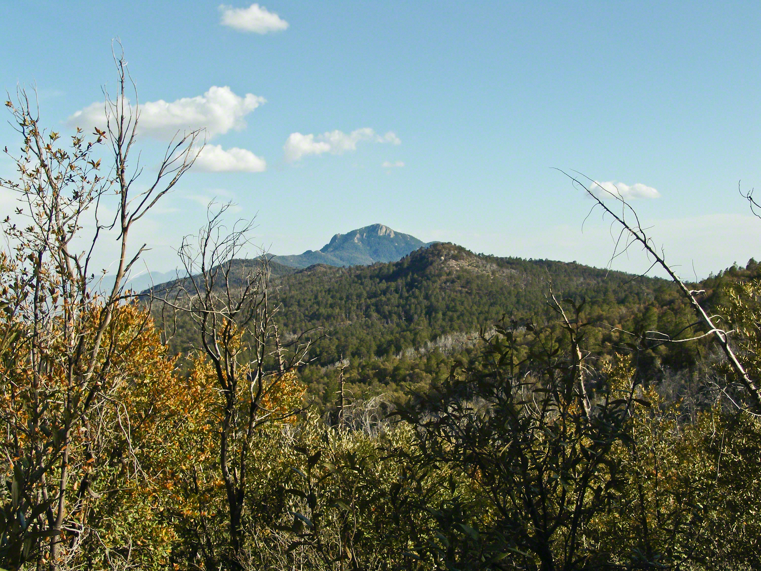 Distant View of Rincon Peak-- CLICK ME!!!!