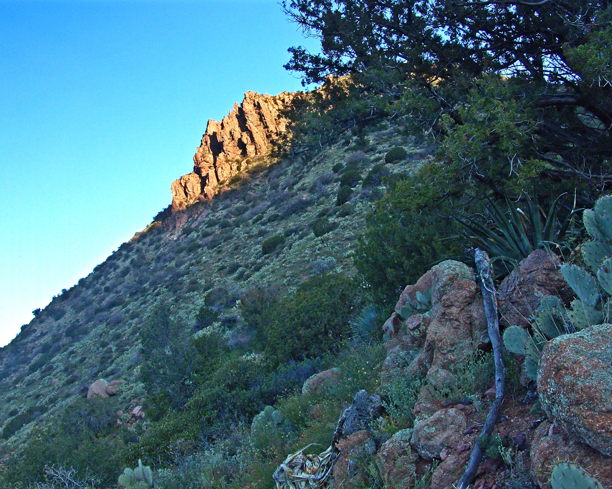 SlopesOfTwoBarMtnAtDawn