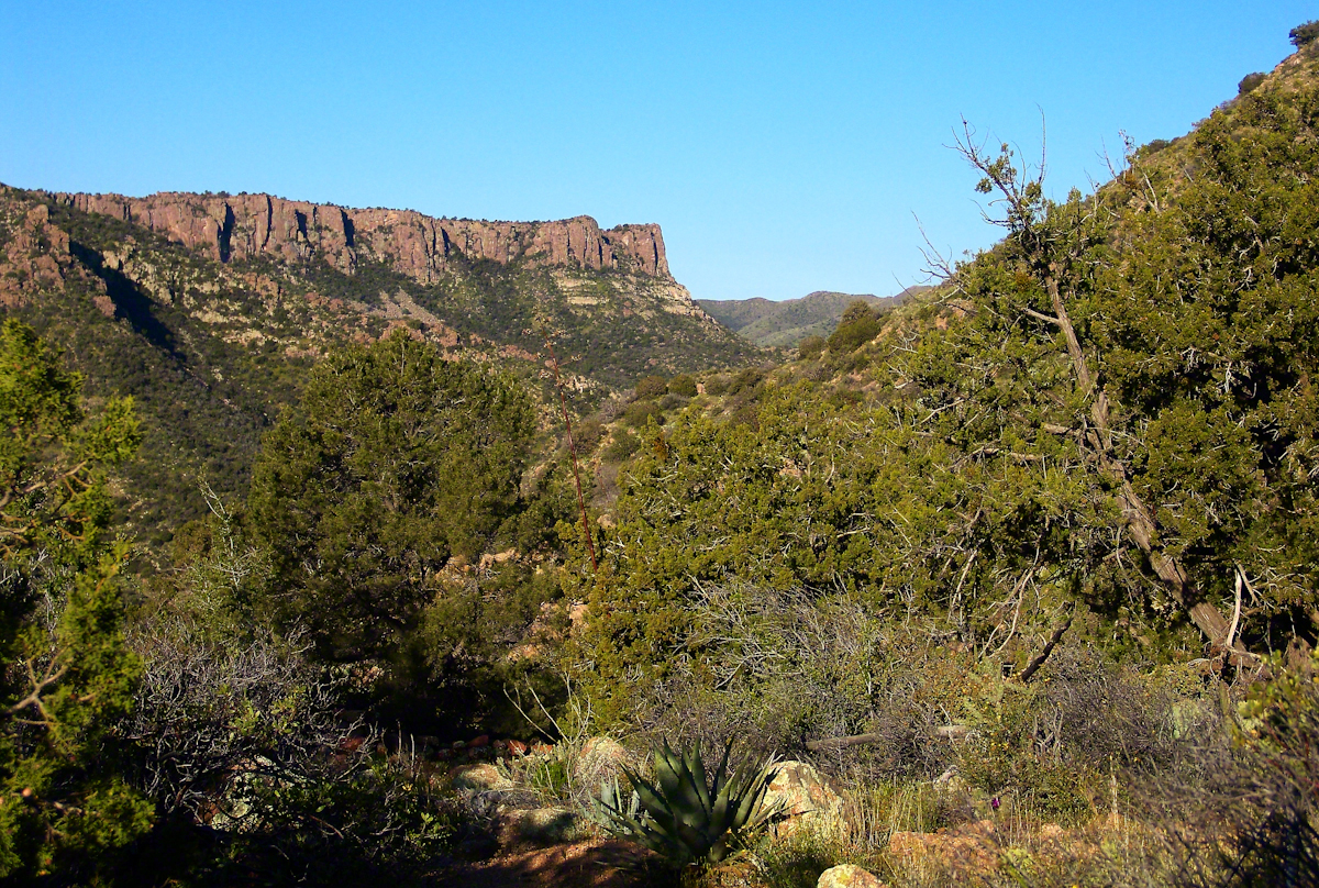 Nameless Canyon Morning