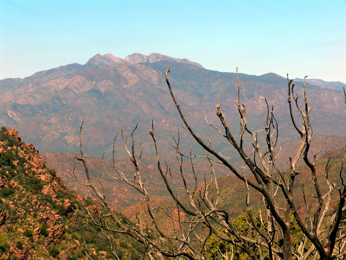 Four Peaks from Nameless Canyon