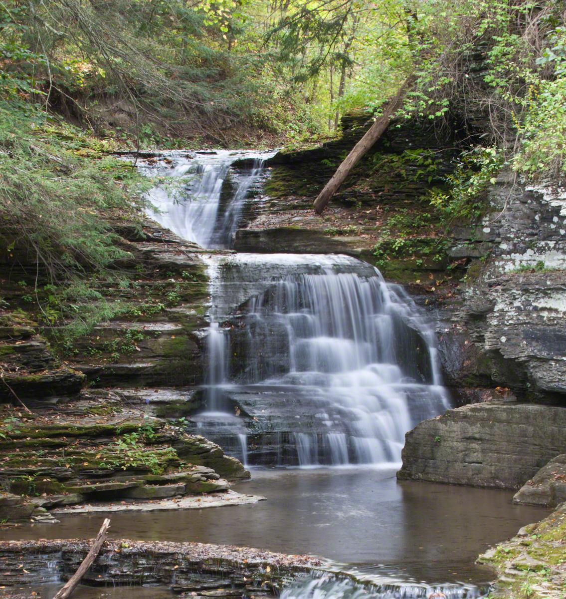 Mill Falls