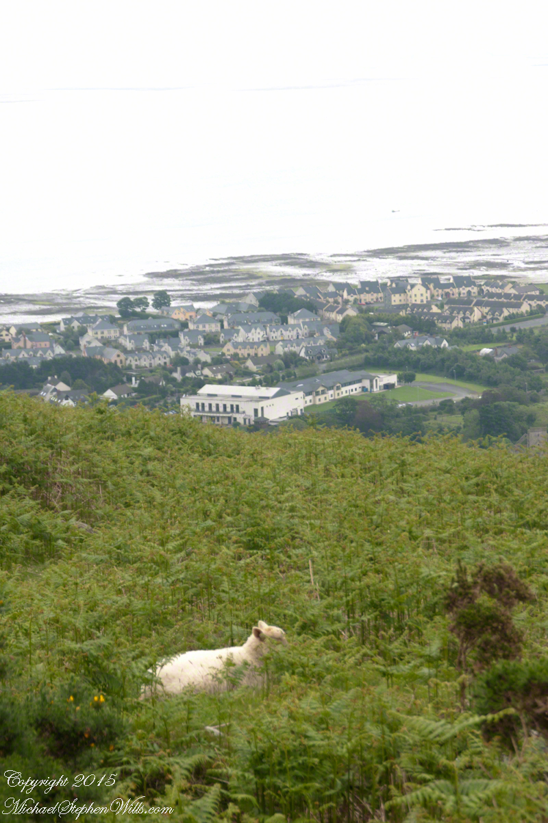 Walking the Tain Trail to Carlingford