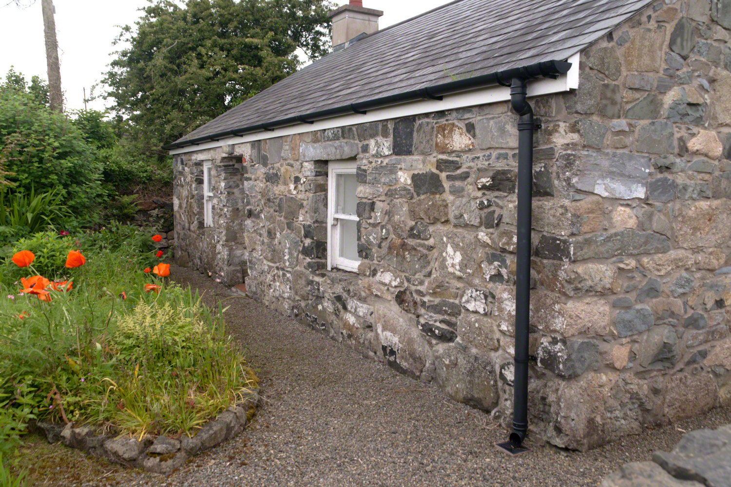Red Poppies front a Fieldstone Home.