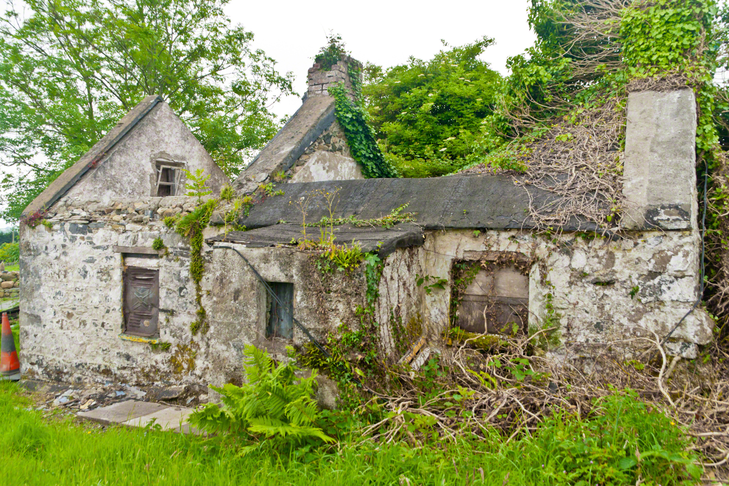 Ruined Cottage, Carlingford