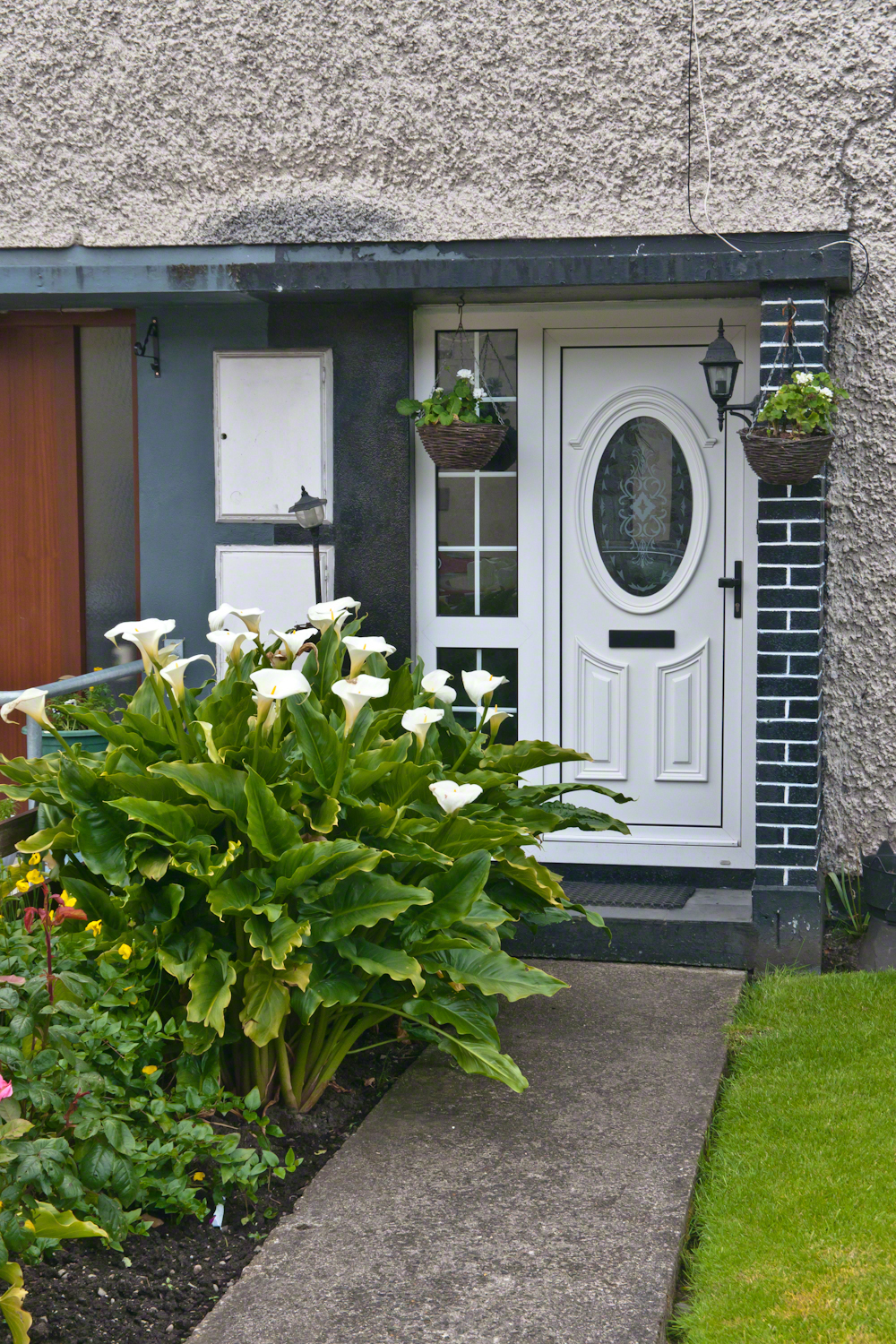 Entrance with Calla Lilies, Carlingford