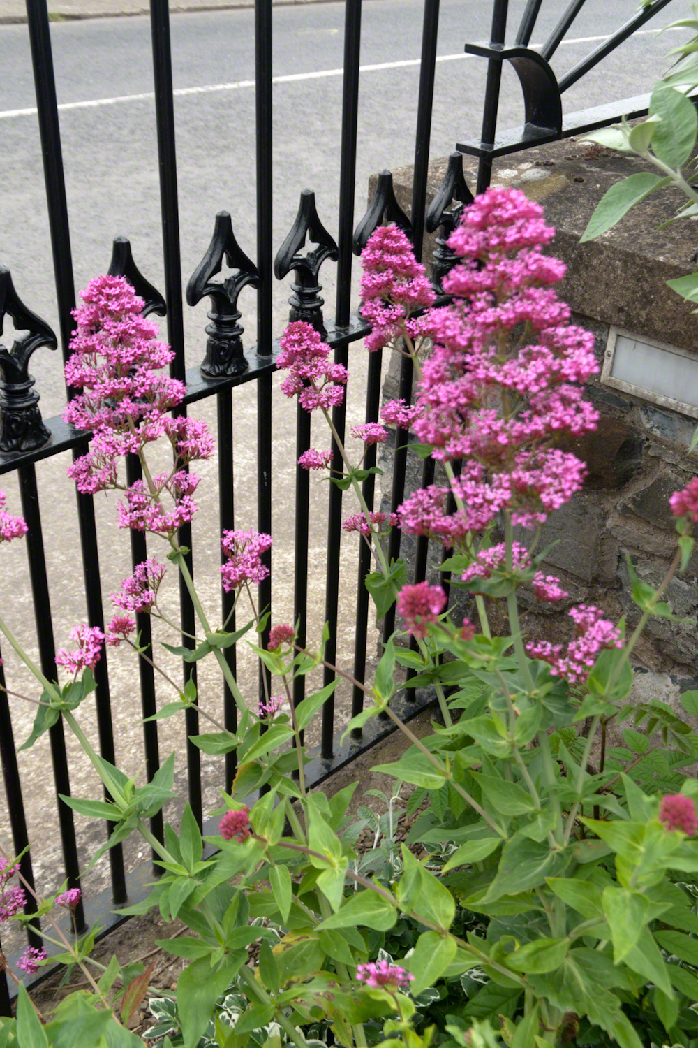 Church of Saint Michael Grounds