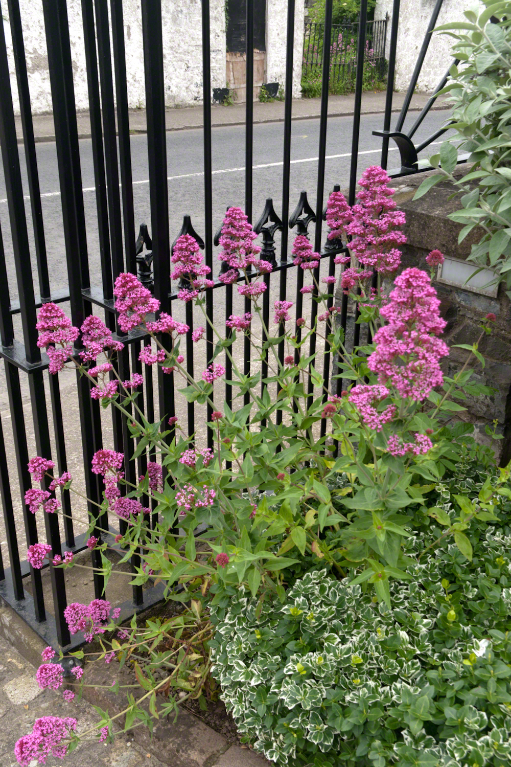 Church of Saint Michael Grounds