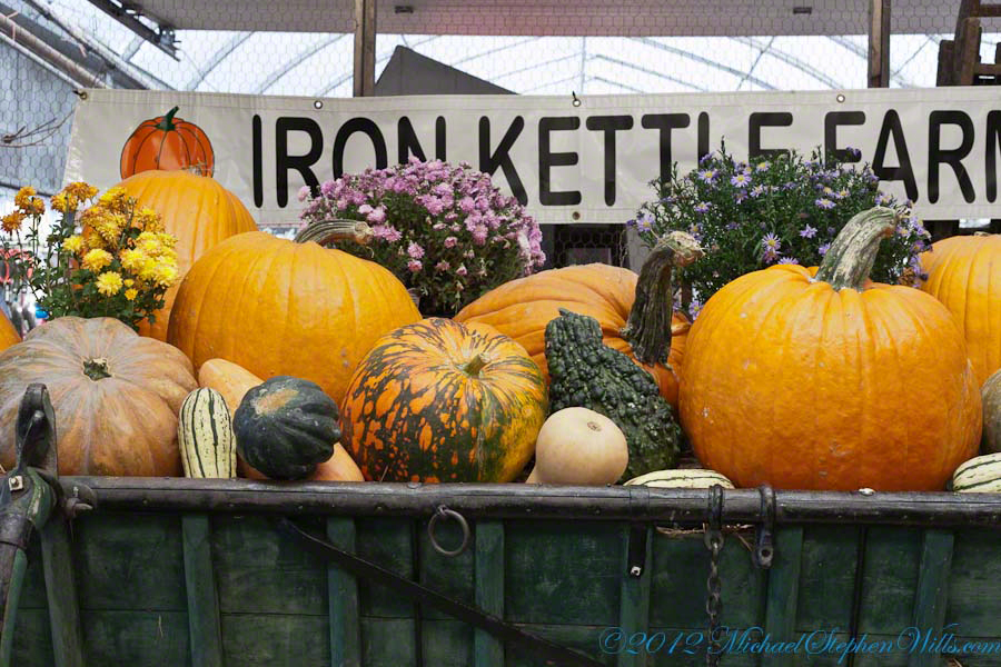 Grand Entrance Display