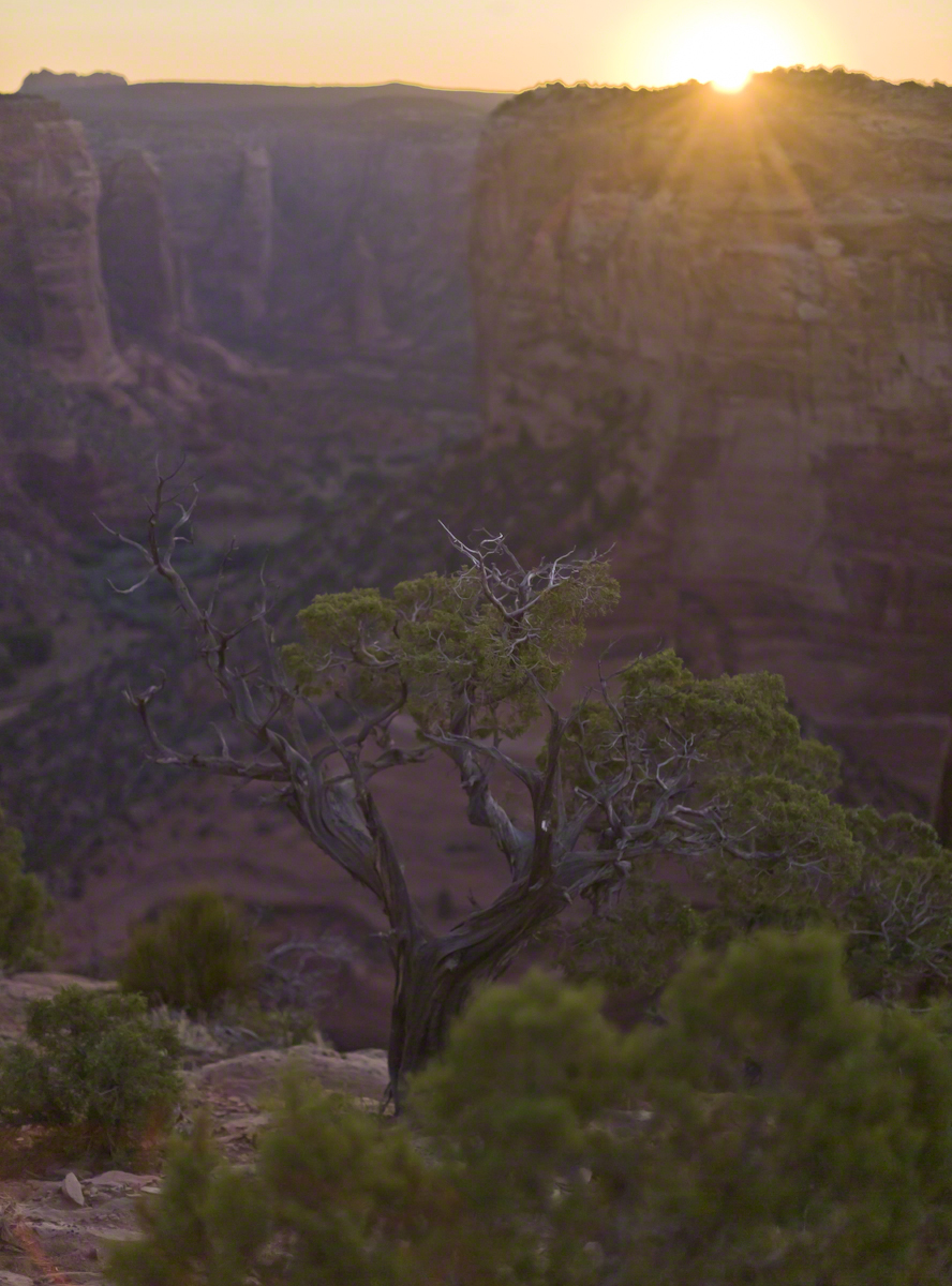 Sunrise Canyon De Chelly