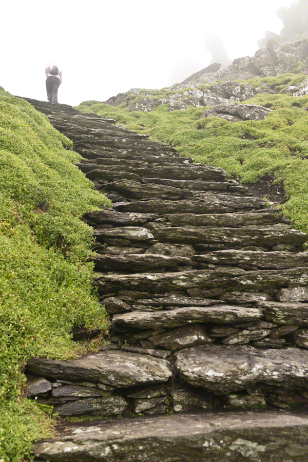 Puffins of Michael Skellig Puffins of Michael Skellig