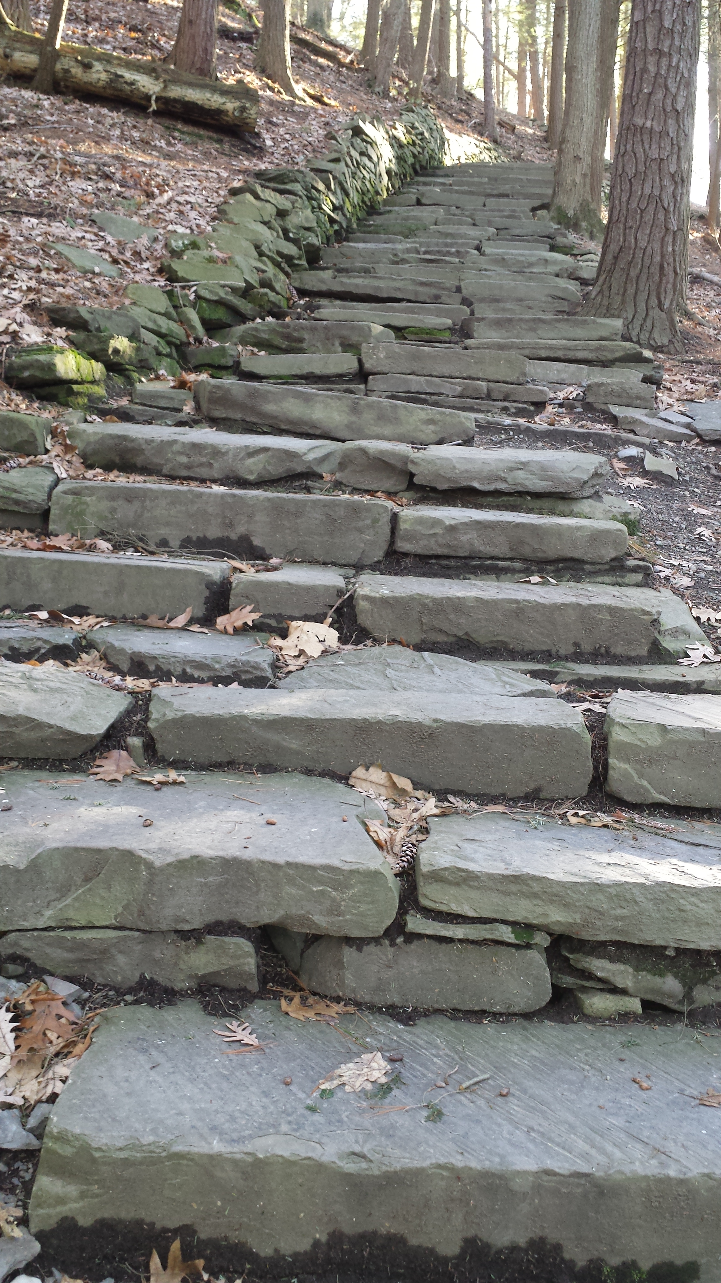 Climbing up from the gorge to the South Rim Trail – CLICK ME for my Fine Art version of Taughannock Falls.