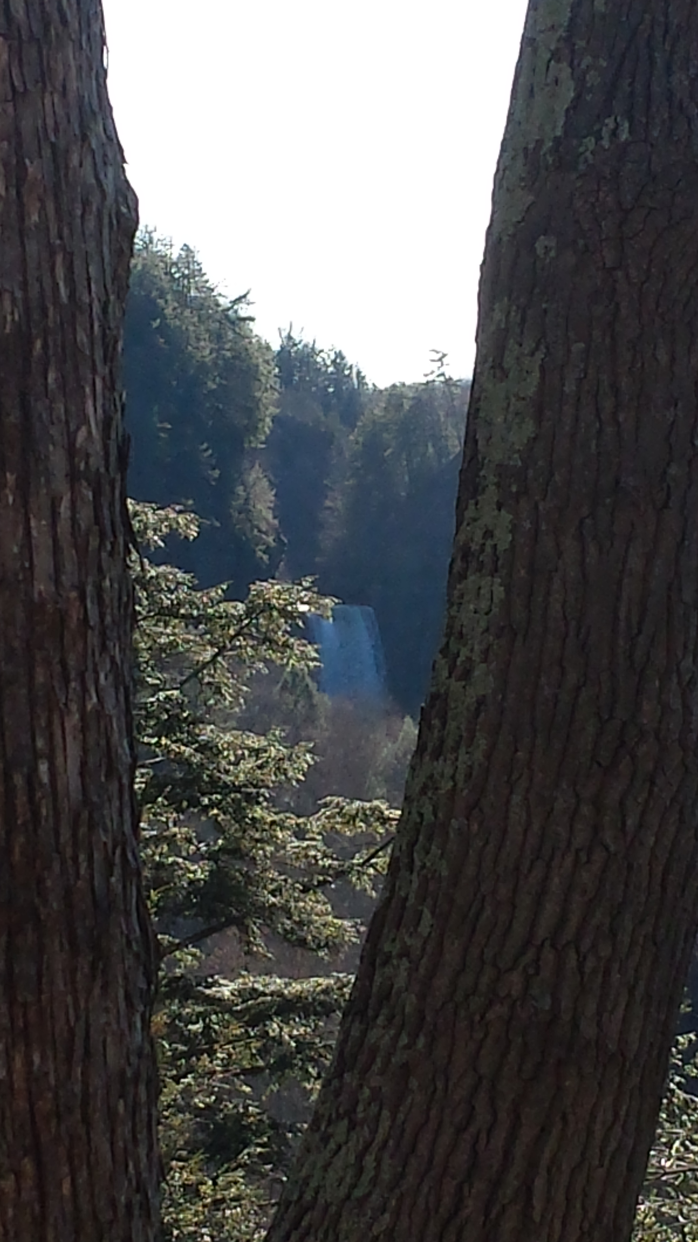 View of the falls from the South Rim – CLICK ME for my Fine Art version of Taughannock Falls.