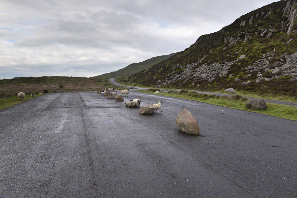 Viewing Platform with Sheep – CLICK ME for more Ireland photography.