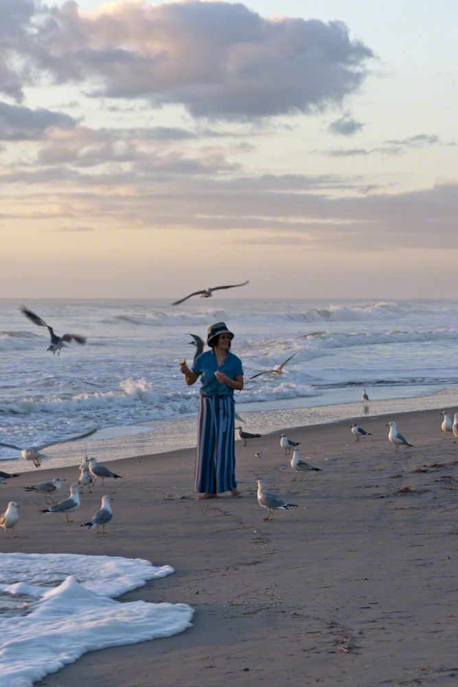 Lady and Gulls