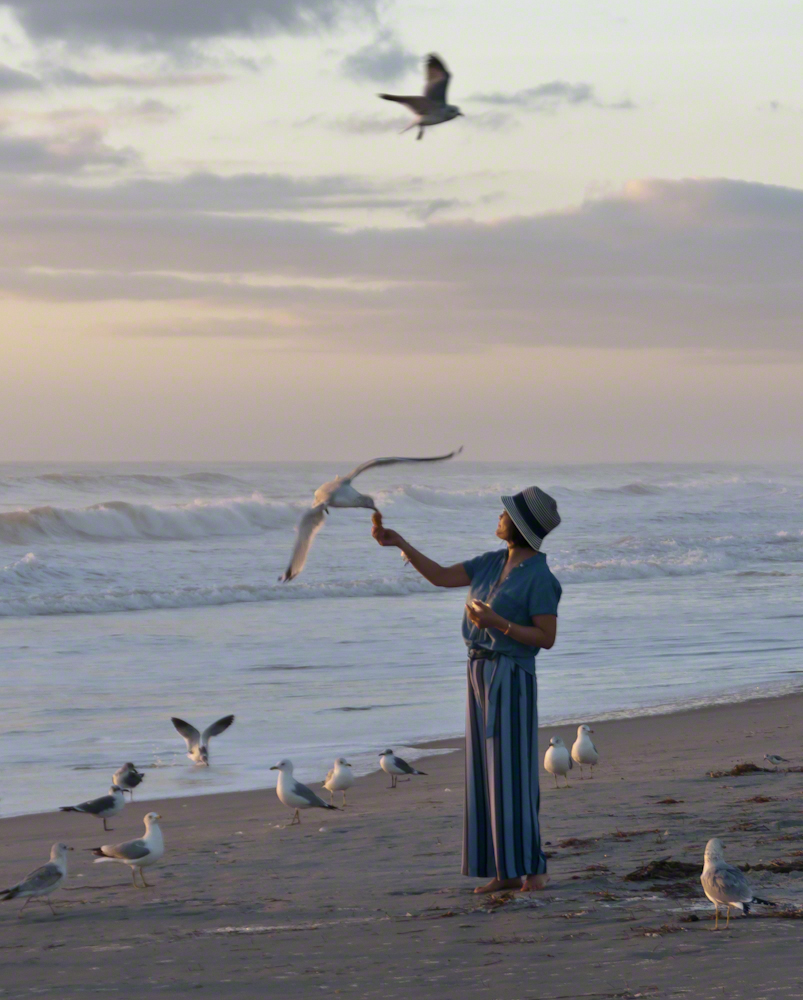 Lady and Gulls – CLICK ME for more Florida photography.