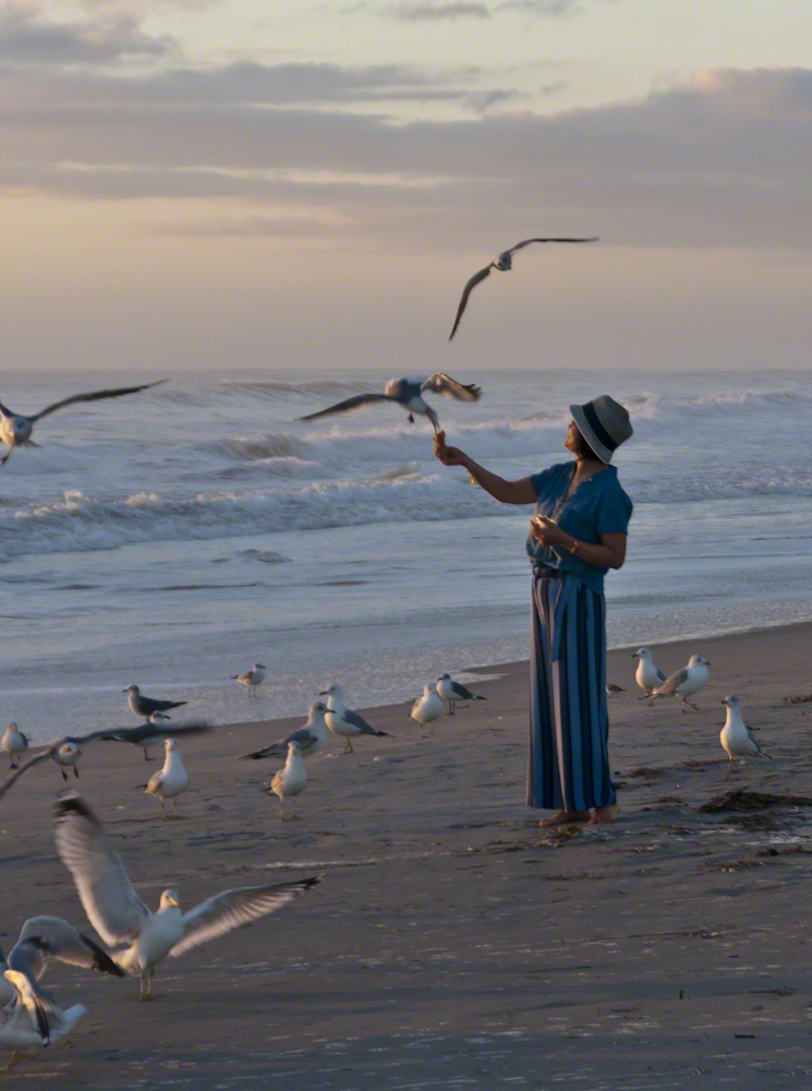Lady and Gulls – CLICK ME for more Florida photography.