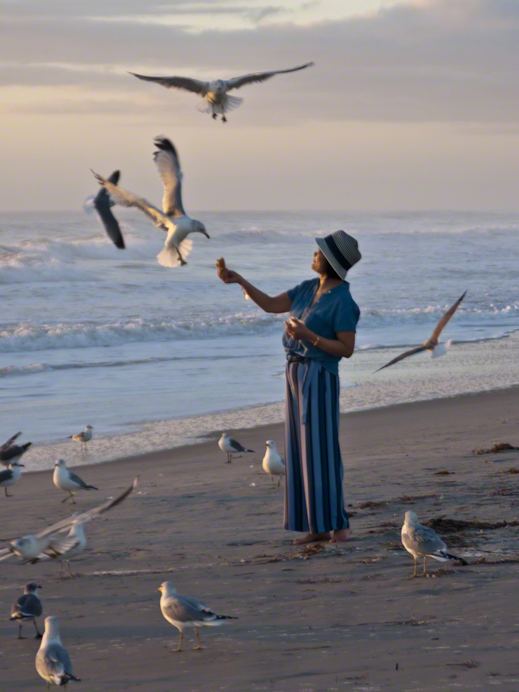 Lady and Gulls – CLICK ME for more Florida photography.