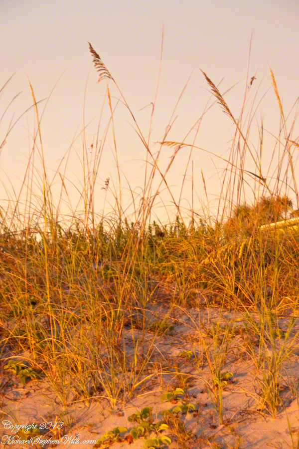 Glowing Dunes at Sun rise – CLICK ME for more abstract photography.