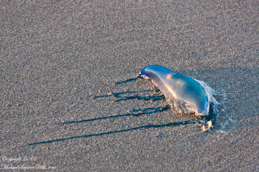 Dangerous fun balloon configuration – CLICK ME for more abstract photography.