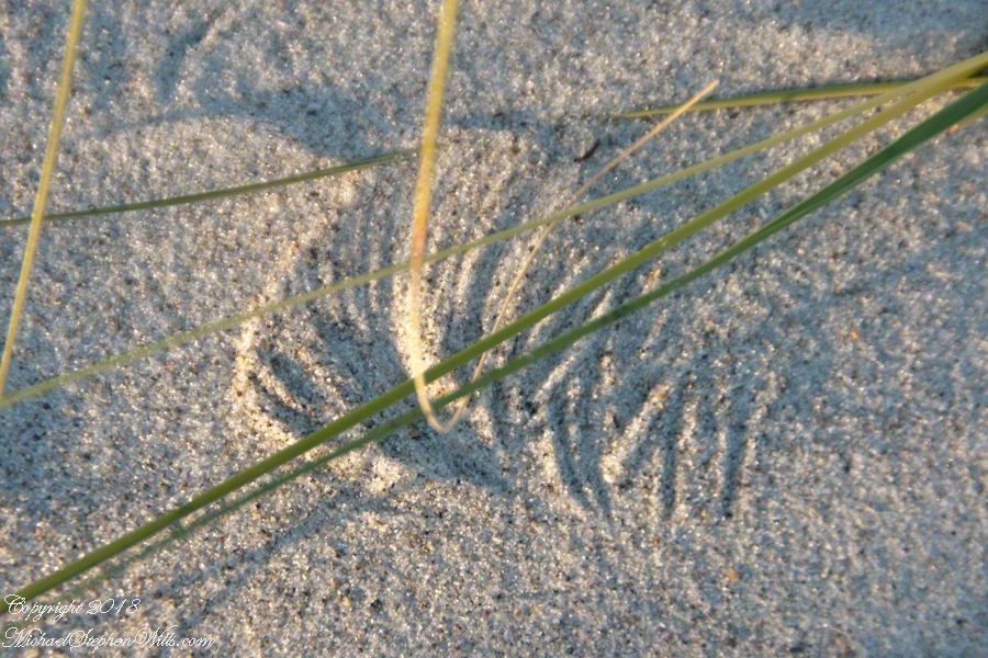 Wind Driven Pattern – CLICK ME for more abstract photography.