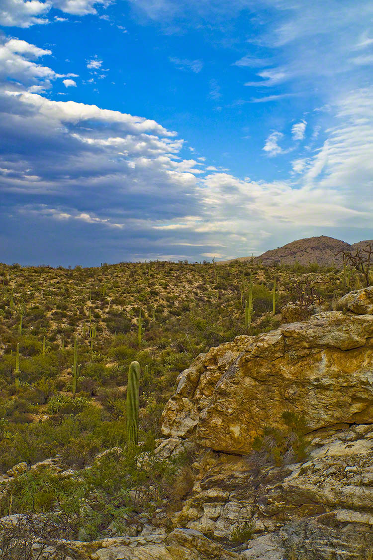 NortheastFromLimeKilnsCopyrightSmall – CLICK ME to view Ocotillo Sunset.