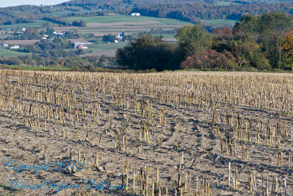 West view from Libe Slope