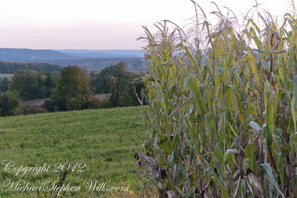 West view from Libe Slope