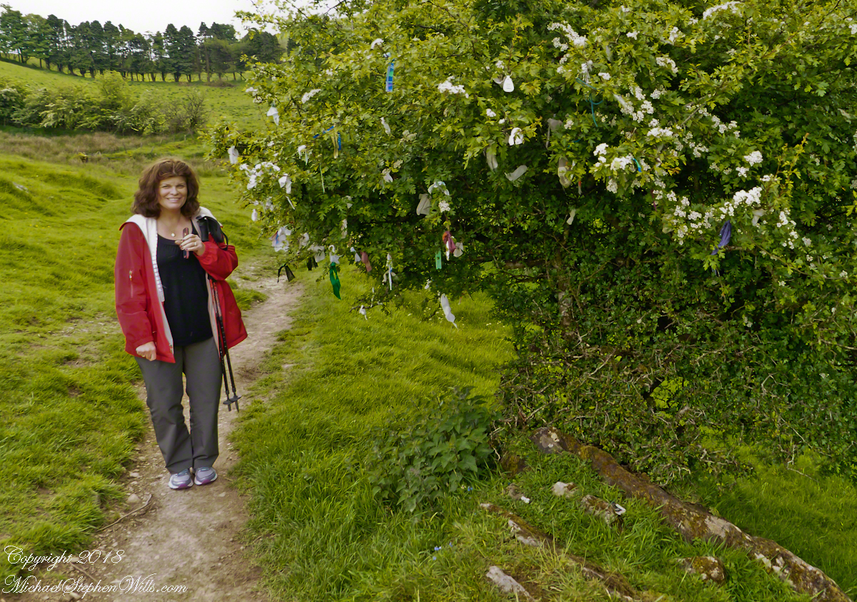 Pam and the Offering Hawthorn