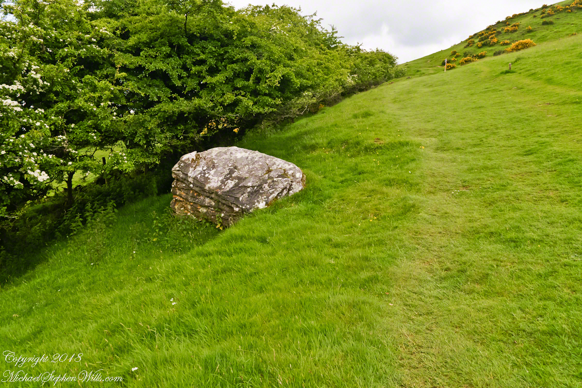 Path on Hag's Mountain, Loughcrew