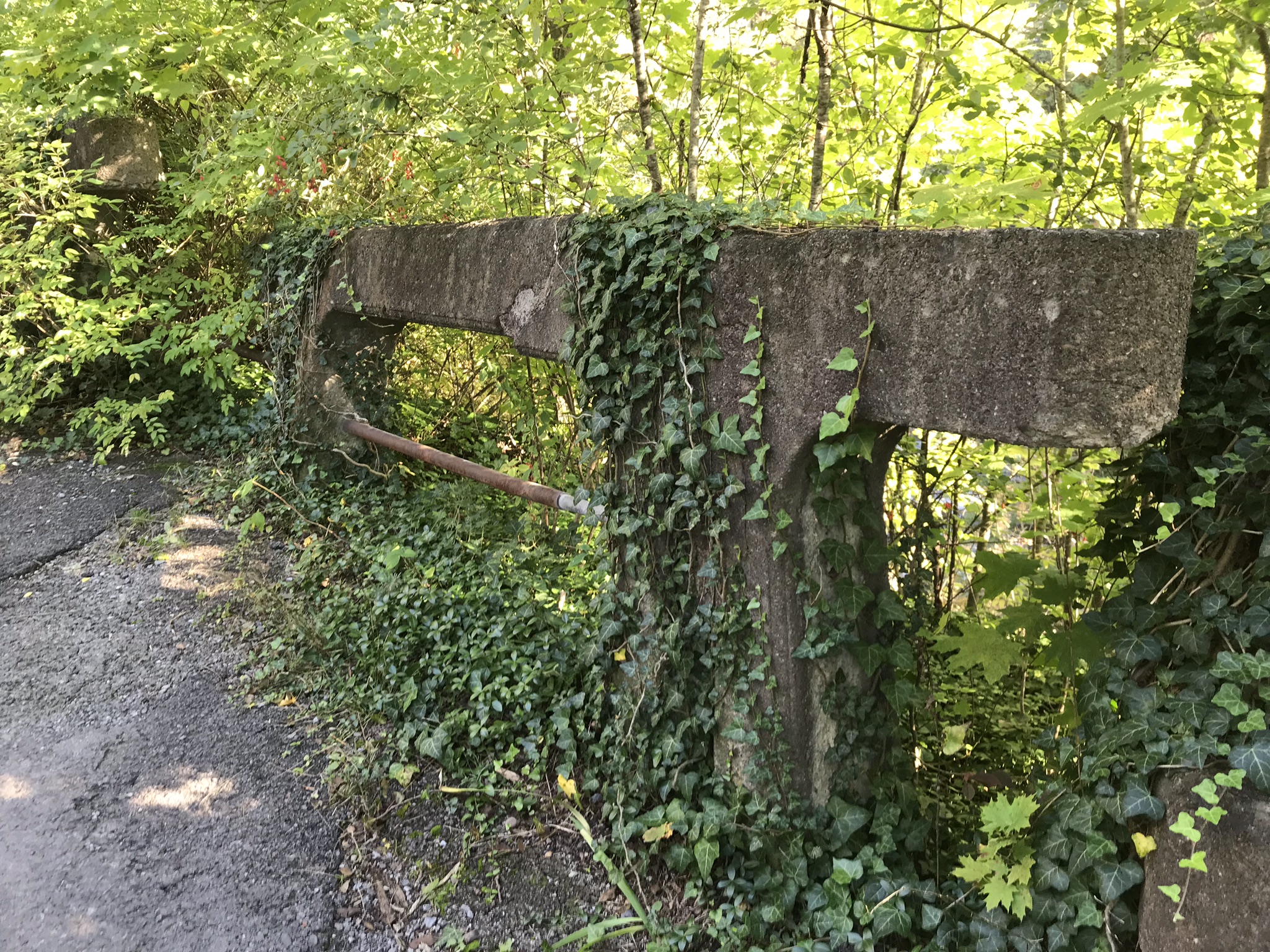 Cascadilla Gorge Trail Fence