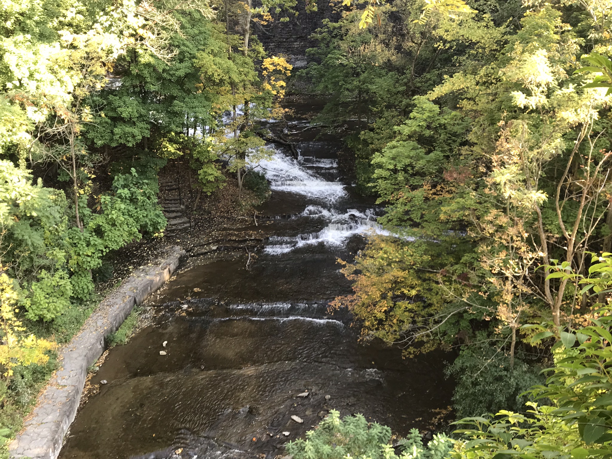 Cascadilla Gorge Trail Fence