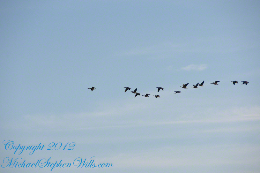 West view from Libe Slope