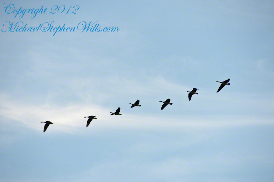 West view from Libe Slope