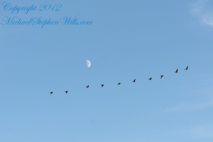 West view from Libe Slope